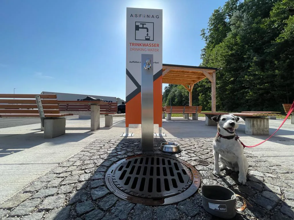 Ein Trinkbrunnen auf einem ASFINAG Rastplatz mit Hund daneben
