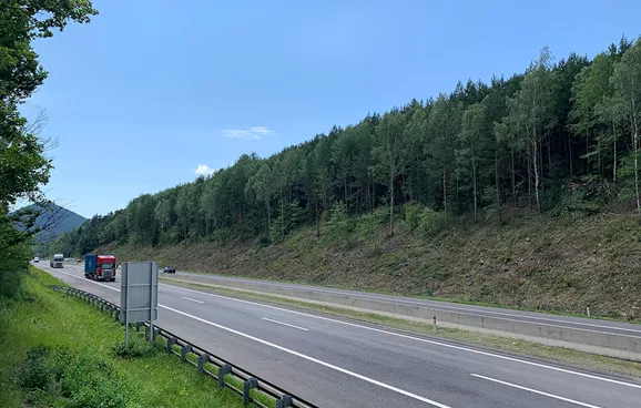 Bäume entlang einer Autobahn, die Böschung ist gepflegt