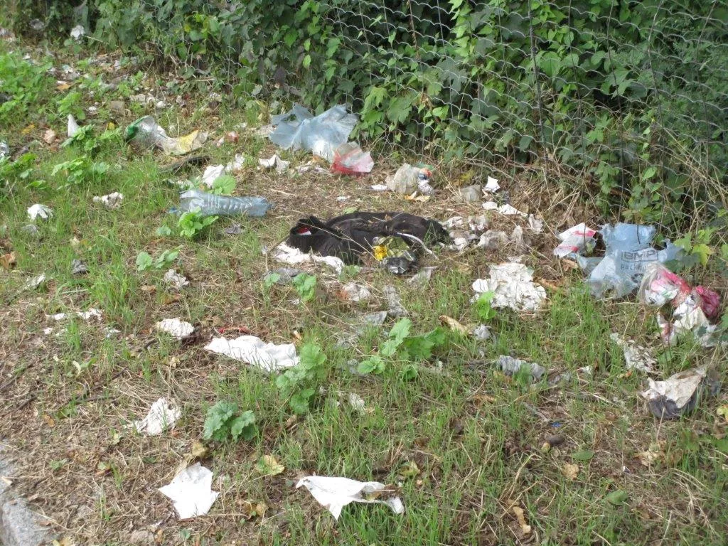 Achtlos weggeworfener Müll im Grünstreifen