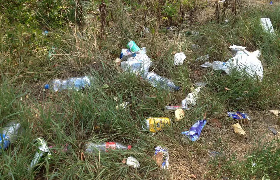 Achtlos weggeworfener Plastikmüll auf einem Rastplatz