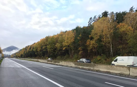 Bäume entlang einer Autobahn, die Äste ragen nah an die Fahrbahn heran