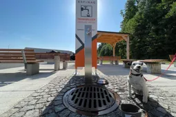 Hund sitzt vor einem Trinkbrunnen auf einem ASFINAG Rastplatz
