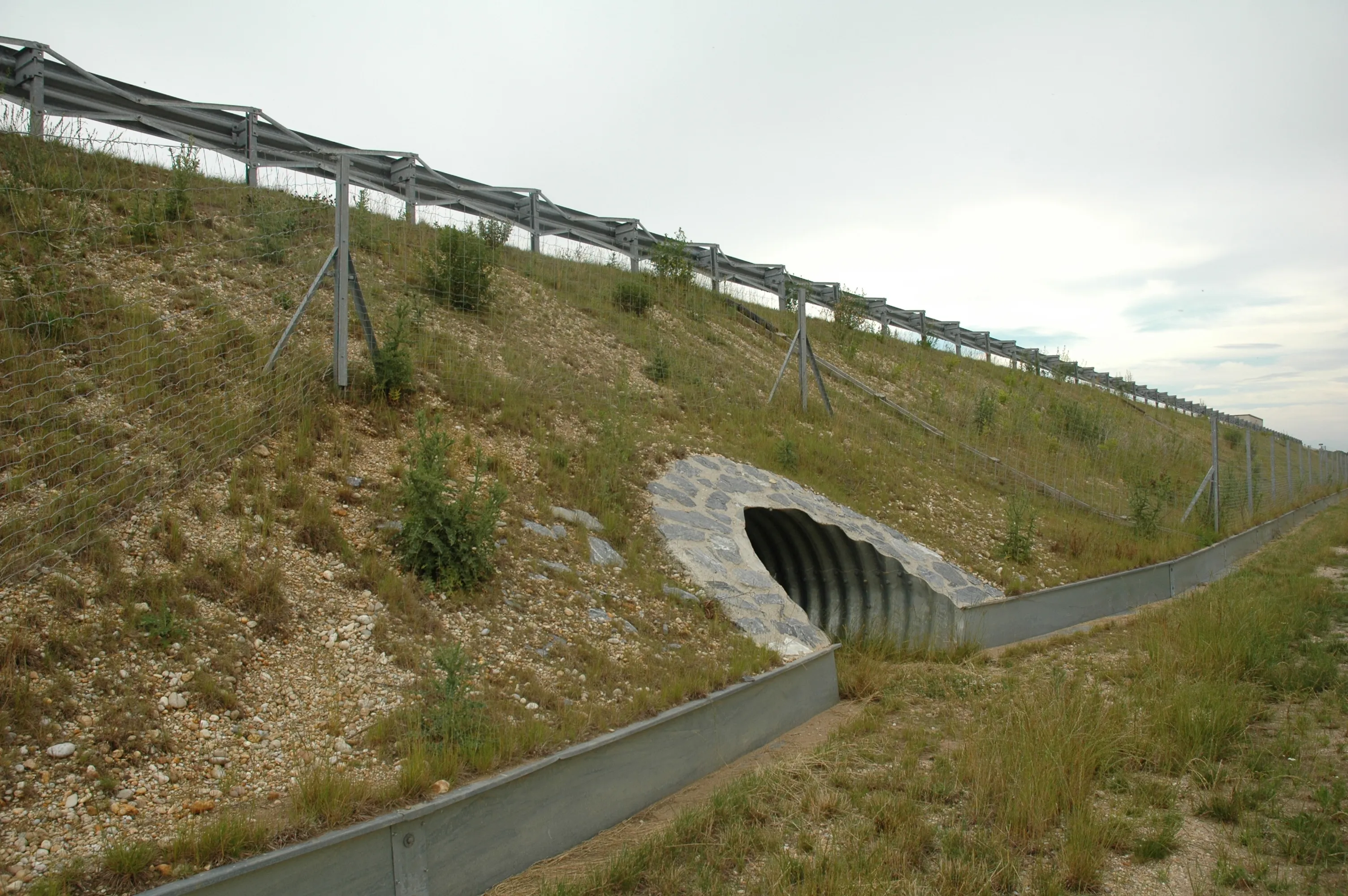Amphibiendurchlass unter der Autobahn. Diese sorgen für einen geschützten Wanderweg.